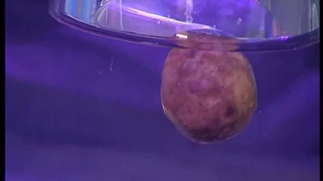 Галилео. Эксперимент ⚠ Шарик Галилея Galileo's ball смотреть онлайн