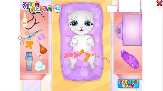 Кошка Анжела Стала Мамой смотреть онлайн