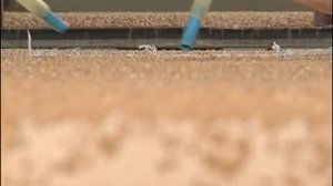 Галилео. Быстрокаши. Гречка