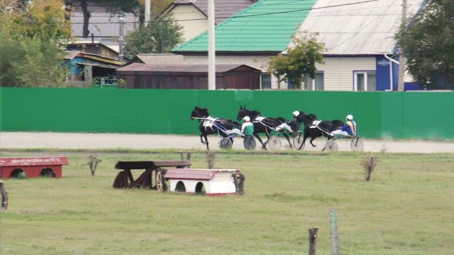 28.09.2024г.Абаканский Ипподром Приз в честь Бейского района для лошадей 4-х лет и старше рысистых п