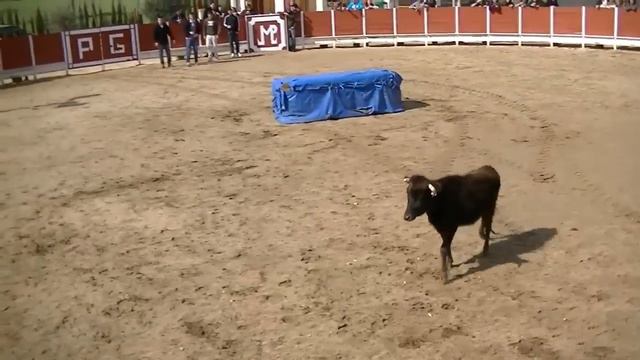 capeas Jose en sonseca 1 смотреть онлайн