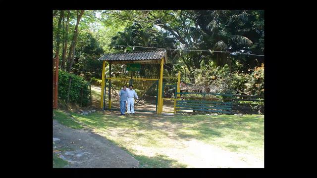 Invernal.Espinosa y Bedoya. Interpretacion del maestro José Velásquez y Ramiro Villa смотреть онлайн