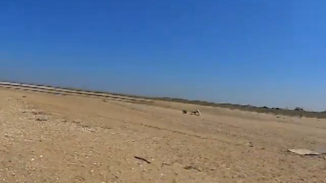 Sandy Hook, NJ USA, 4 Sept. 2014/ Сенди Хук, Нью Джерси США, 4 Сентября   2014.