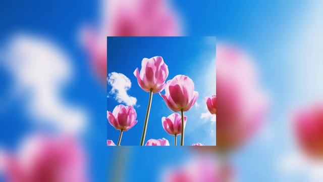 Тополиный Пух (SpeedUp)