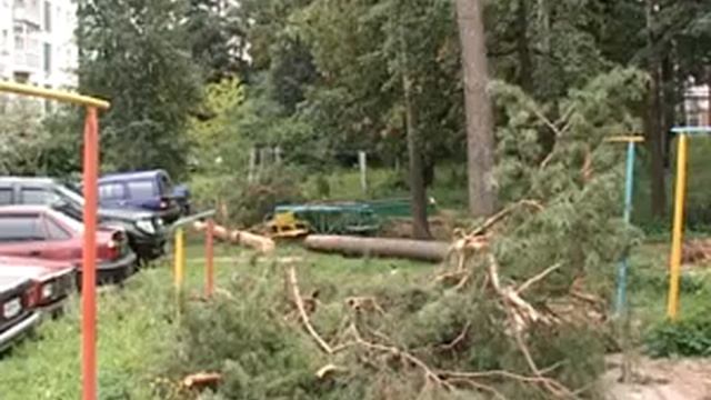 Ураган похулиганил смотреть онлайн