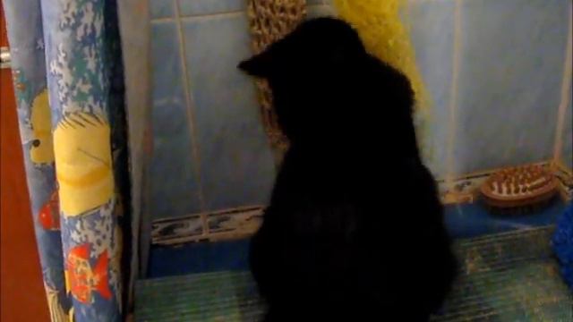 Урок утренней гигиены. смотреть онлайн