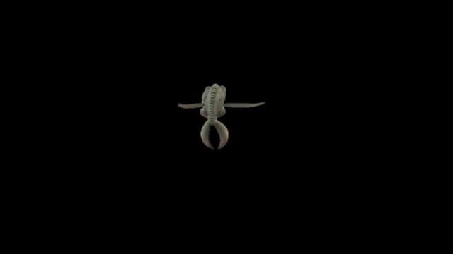 Spore Realistic Fish movement смотреть онлайн