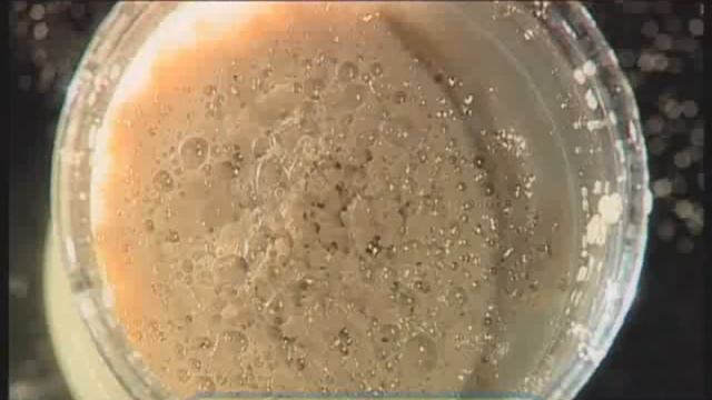 Галилео. Вкус (часть 2): Сколько всего вкусов?