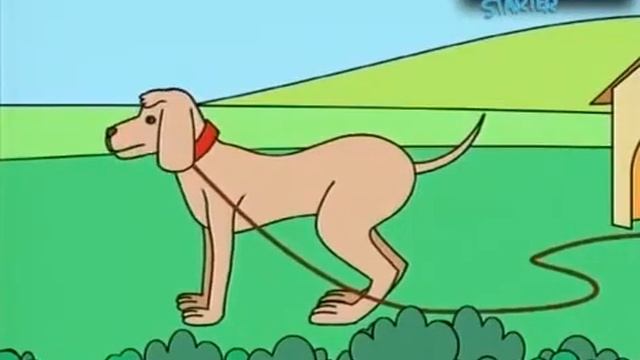 Видео к вводному курсу Spotlight Starter, Английский в фокусе смотреть онлайн