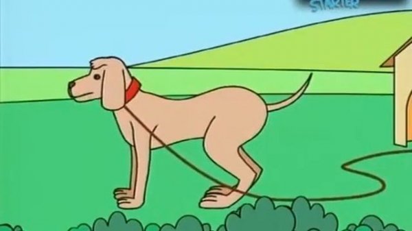 Видео к вводному курсу Spotlight Starter, Английский в фокусе