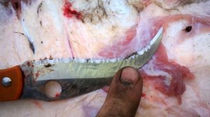 Spyderco Civilian разделка быка. Часть 3.