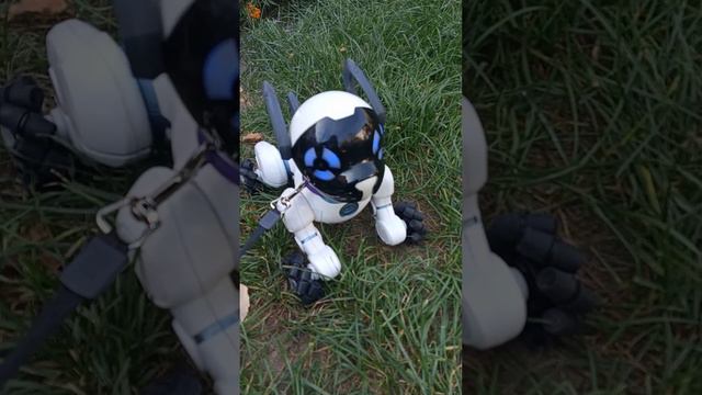 ГОША ВЫГУЛИВАЕТ ПИТОМЦА РОБОТА. ИСКУССТВЕННЫЙ ИНТЕЛЛЕКТ смотреть онлайн