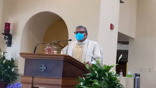Memoria de San Alfonso María de Ligorio, obispo y doctor de la Iglesia смотреть онлайн