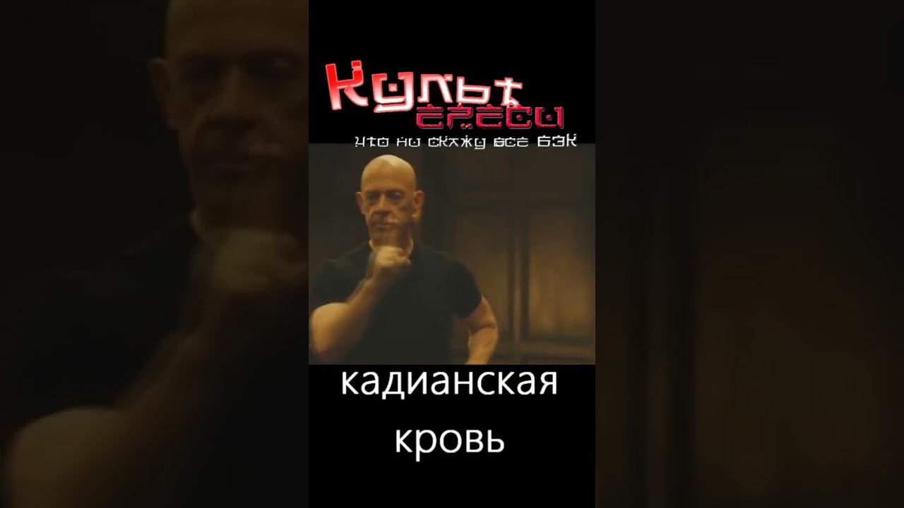 КАДИАНСКАЯ КРОВЬ #shorts смотреть онлайн