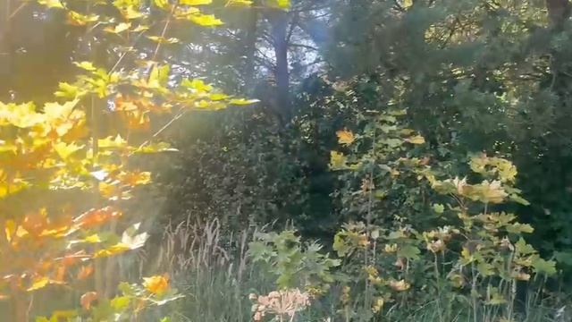 зу :920 д. Заовражье смотреть онлайн