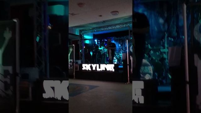 Skyline - "Sold (The Grundy County Auction Incident) - 4/2/16! смотреть онлайн