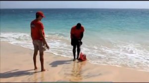 Галилео. Как поймать акулу?