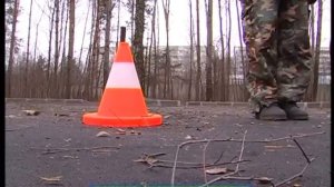 Галилео. Собака-поводырь  Guide-dog