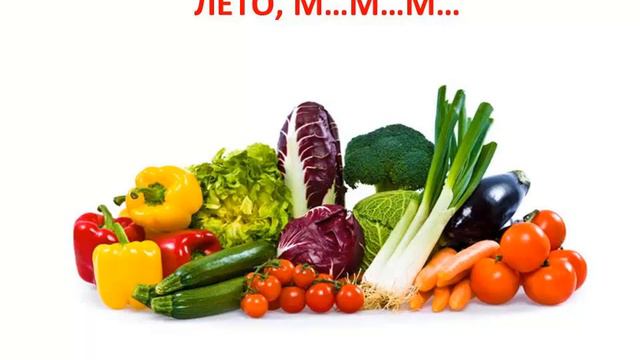 Анонс программы ProLETO