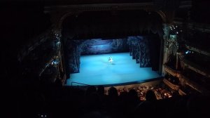 Пётр Чайковский -Лебединое озеро -Сцена вторая -Затерянное озеро -Мариинский театр - Санкт-Петербур