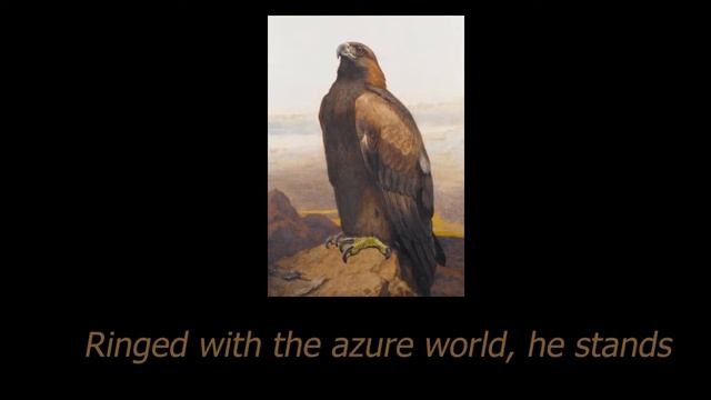 The Eagle by Alfred Lord Tennyson - Peter Burton смотреть онлайн