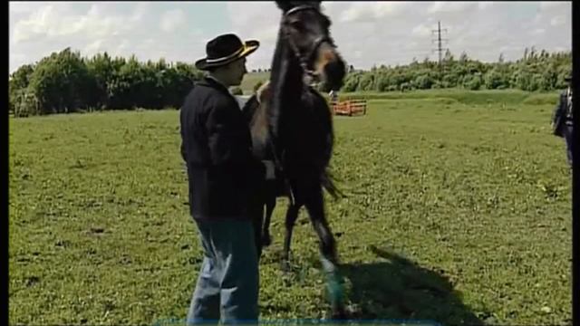 Галилео. Вестерн фестиваль  Western Festival