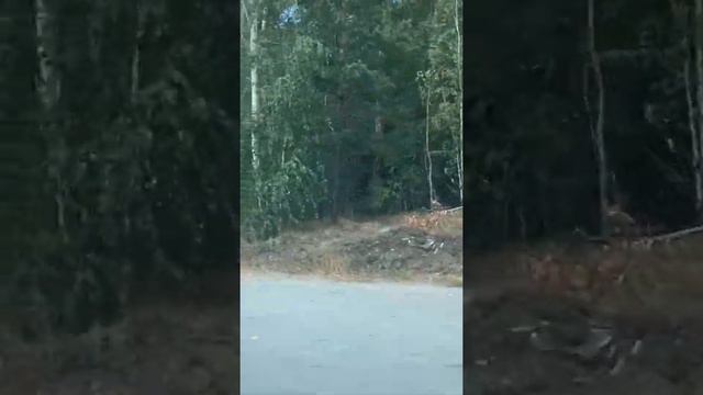 Кыштым, Челябинская область смотреть онлайн