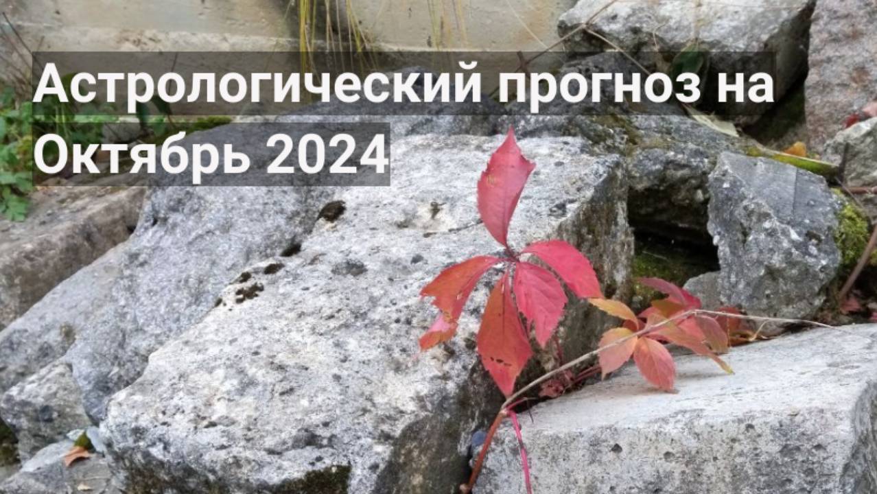 Астрологический прогноз Октябрь 2024