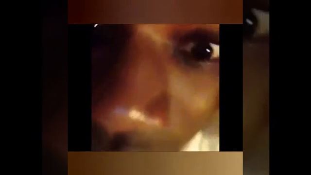 Фильм Ужасов.