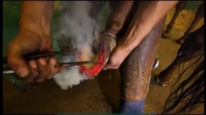 Галилео. Полицейские лошади (часть 1)