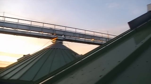 Совхоз-комбинат 