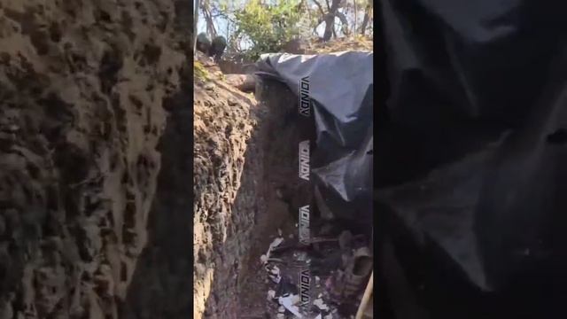 ⚡️СВО 18+ Бойцы сахалинской бригады выбили свиней из опорных пунктов смотреть онлайн