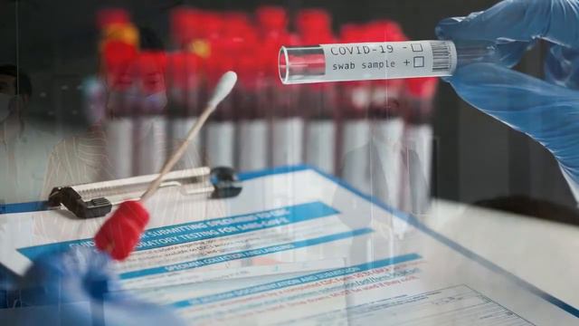 Covid19 PCR Test Travel Health Certificate - Watch Before You Take PCR Test And PCR Test Certificat