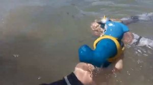 Гуджитцу едут в Таиланд. Goojitzu go to Thailand