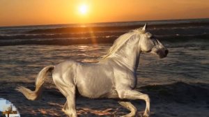 РОССИЯ -  родина моя!