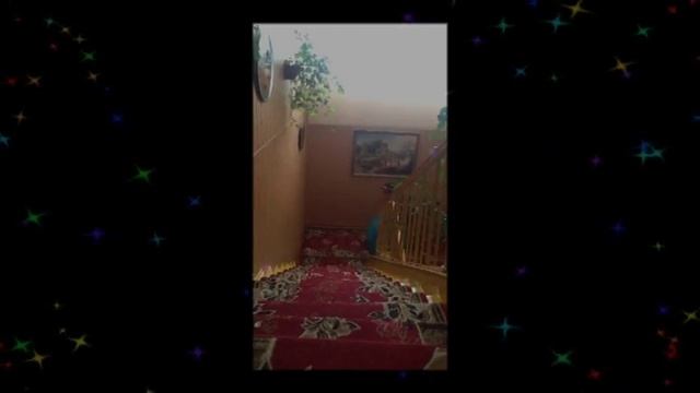 Вистава "Попелюшка" смотреть онлайн