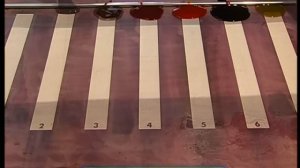 Галилео. Павловопосадские платки  Pavlovo shawls