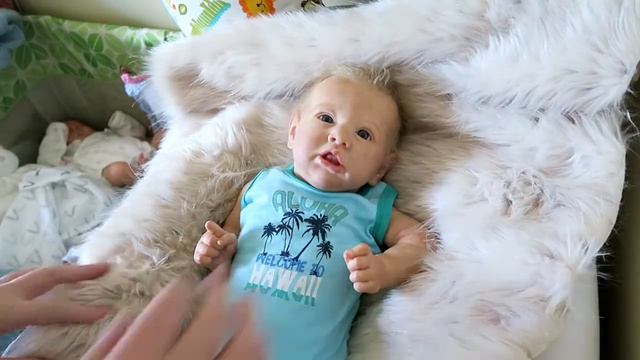 Niko and his Pocket! | Reborn Theme Thursday смотреть онлайн