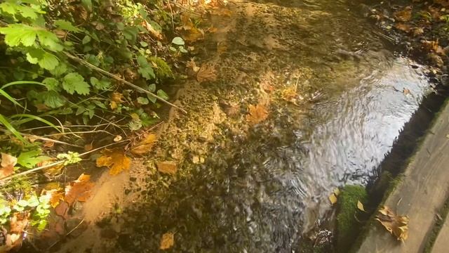 30-09-2024 Музей Валентина Александровича Серова 