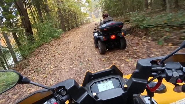 Грибы , рыбалка , лес , КРАСОТА!!! смотреть онлайн