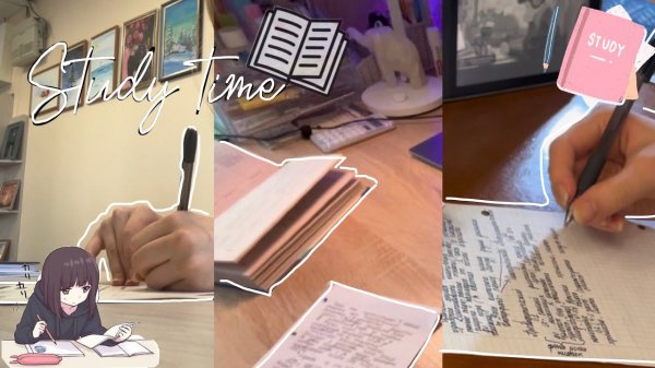 Study with me#46/ учусь в разных местах |Sofi Engeleva