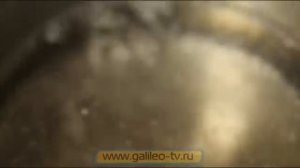 Галилео. Фудстилисты (ч.3)