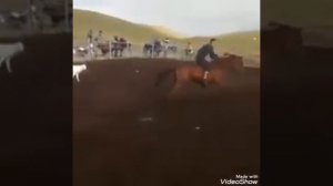 Вот как казахи обучают лошадей