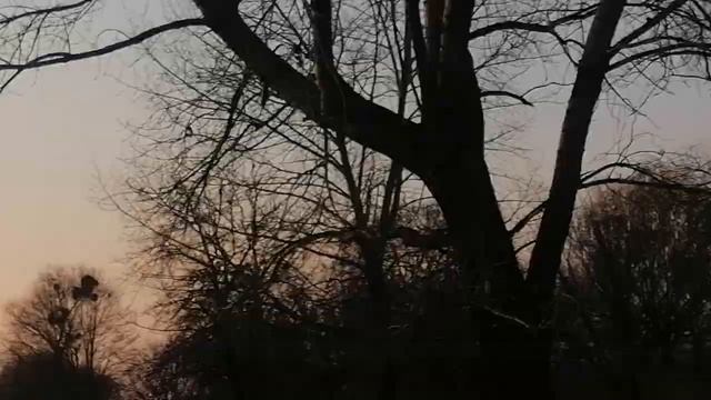 Где я установлю ловушки смотреть онлайн