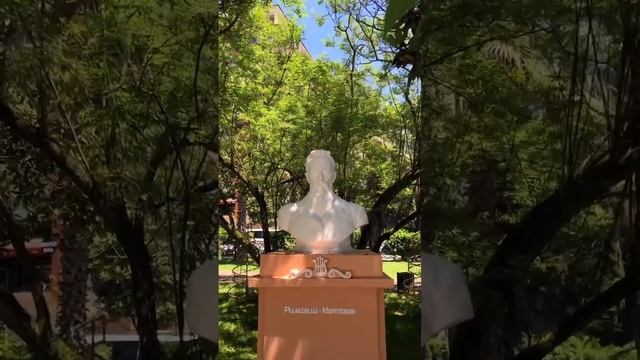 Живу в Сочи