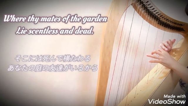 アイリッシュハープ　庭の千草 The last rose of summer смотреть онлайн