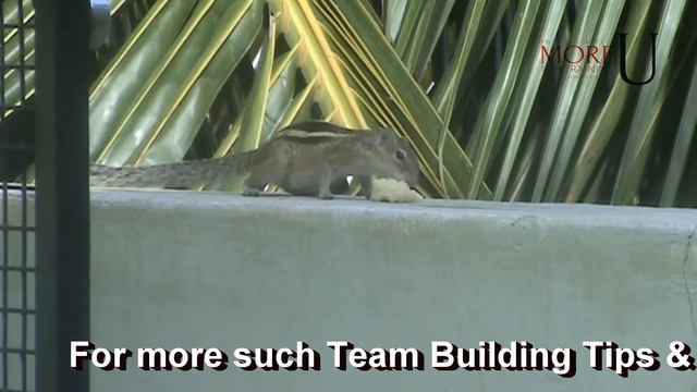 The Magic Power Of Names - Use Names Effectively - Team Building Books