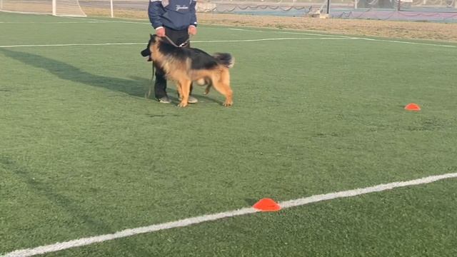 1.  выражено/пож ЛЕРУА МАДЛЕН ШЕРХАН (Антарес Солярис Ерден – Леруа Мадлен Златовласка)