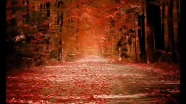 'Де ти тепер' Квітка Цісик смотреть онлайн