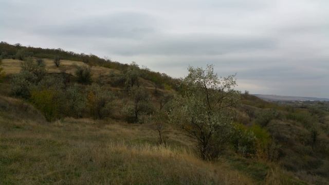 Приднестровье. Андрияшевка
